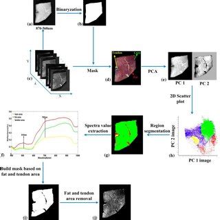 Image Segmentation And Spectral Information Extraction Download Scientific Diagram