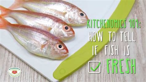 How To Check If The Fish Is Fresh Youtube
