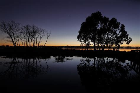 Crepúsculo Lago Oscuro Silueta Madera árbol Ramas Anochecer