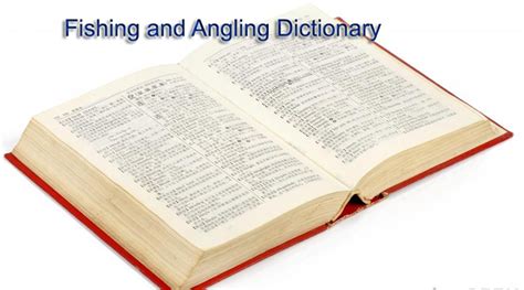 Write a word in vietnamese then select a dictionary. Fishing and Angling Dictionary » Fishing in Vietnam