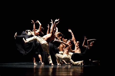 Dança Contemporânea Dance Company Concert Ballet Body Culture Art