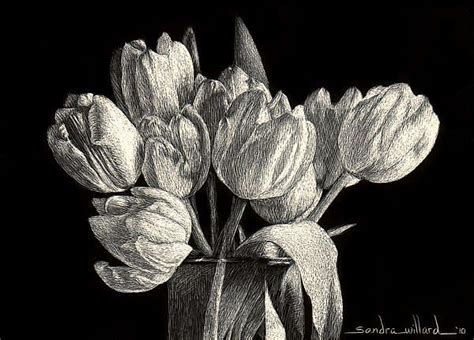 Shop for scratchboard art from the world's greatest living artists. Tiny Tulips - by Sandra Willard from Scratchboard Art