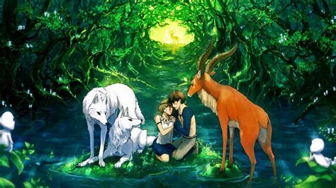 Anime Animals Forest Wallpapers Wallpaper Cave