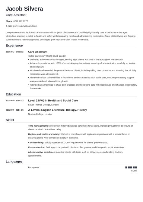 Care Assistant Cv Example And Writing Guide