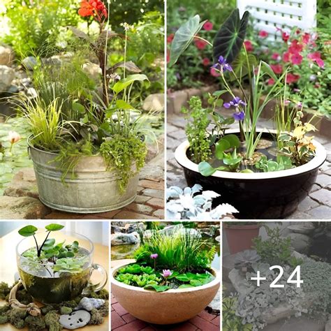 24 Diy Container Water Garden Ideas For Container Gardeners