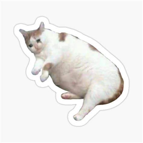Cat Sticker For Sale By Maceeclipse Redbubble
