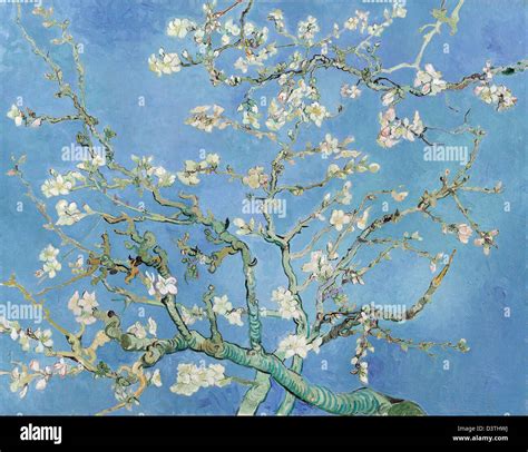 Vincent Van Gogh Branches With Almond Blossom 1890 Japonism Oil On Canvas Van Gogh Museum