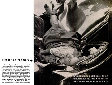 Crazy Sense Of Smell Evelyn Mchale And Her Most Beautiful Suicide