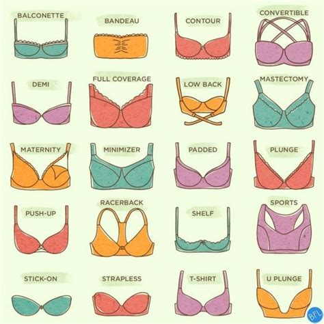 The Different Types Of Bras For Women Daily Infographic