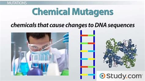 Click the mutate button to begin the activity. Mutation Virtual Lab Worksheet Answers : Bio Mutations ...