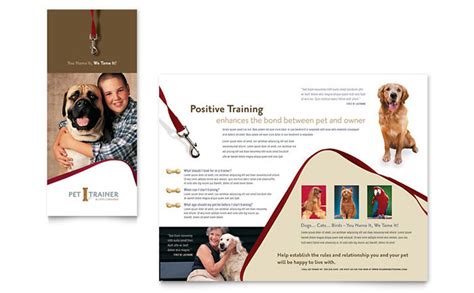 pet training dog walking brochure template design