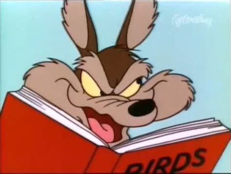 Wile E Coyote Looney Tunes Phreek Classic Cartoon
