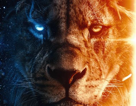 The Lion King King Of The Jungle Behance