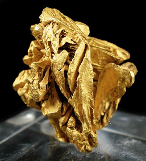 Gold Gold09 05 La Gran Sabana Venezuela Mineral Specimen