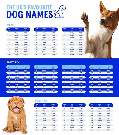 The Most Popular Pet Names Compare The Market