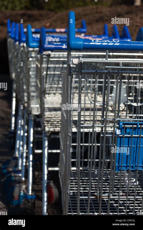Tesco Shopping Trolleys Lined Up Ready For Use Stock Photo Alamy
