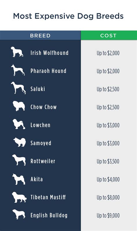 If by saying how much, you mean how much money does a french bulldog cost, then the answer is: Pet Ownership Costs Guide for 2018 - The Simple Dollar