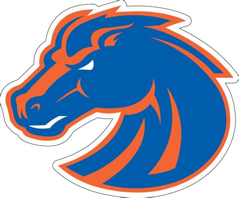 Boise State Sportz For Less