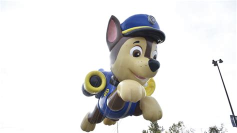 Euthanize The Police Dog Social Media Calls To Cancel Paw Patrol