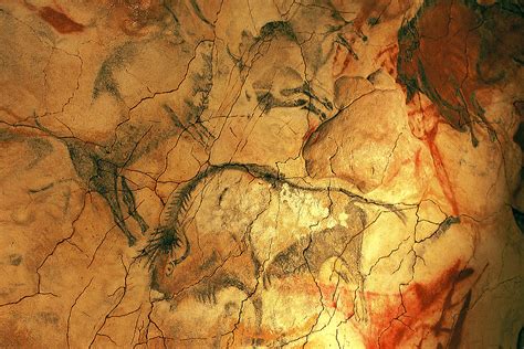 Altamira Cave Painting Picos De Europa Pictures Spain In Global Geography
