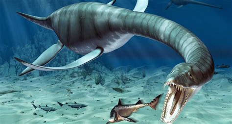 6 Sea Monsters You Should Be Glad Are Extinct Funny