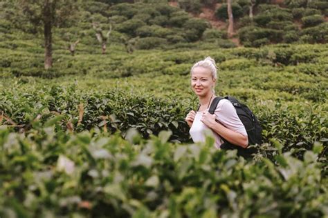 Tea Plantations In Sri Lanka Tea History Tea Regions Tea Tours