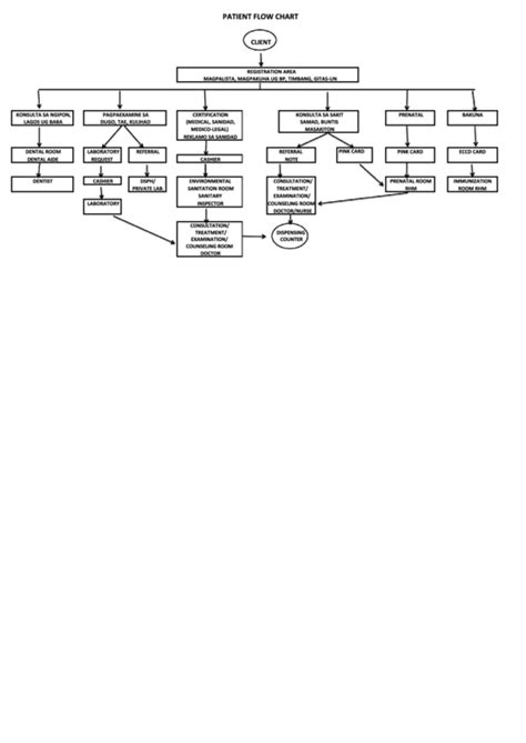 Patient Flow Chart Printable Pdf Download