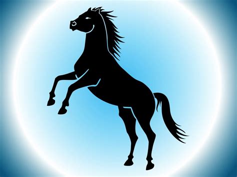 Wild Horse Vector Art And Graphics