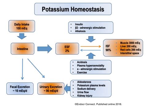 6 Potassium Deficiency Symptoms Signs Of Hypokalemia Potassium