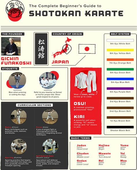 The Complete Beginners Guide To Shotokan Karate Global Martial Arts