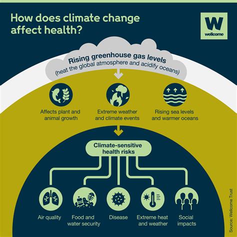 How Climate Affects Health News Wellcome