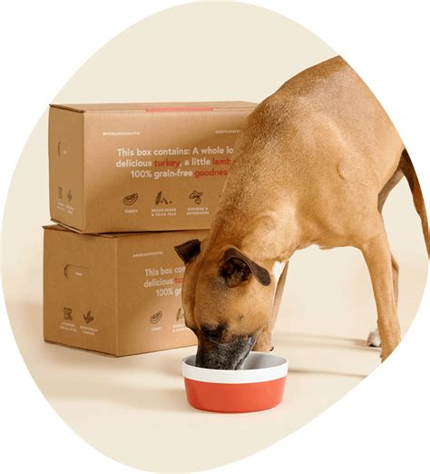 How does amazon monthly dog food delivery subscription work. Compare Australian Dog Food Brands | Scratch