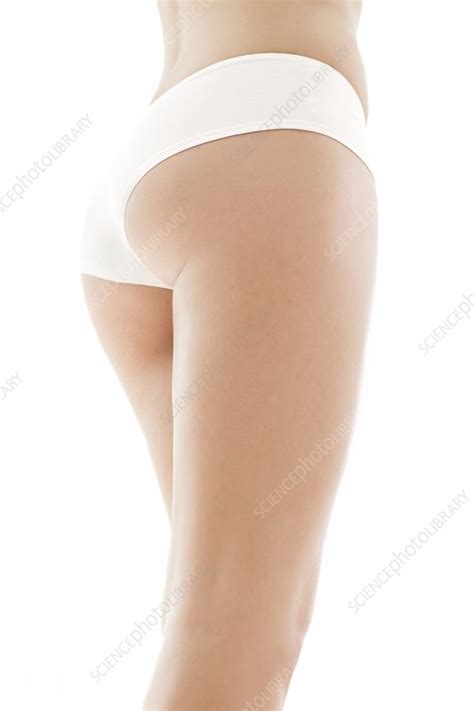 Woman S Legs Stock Image F Science Photo Library