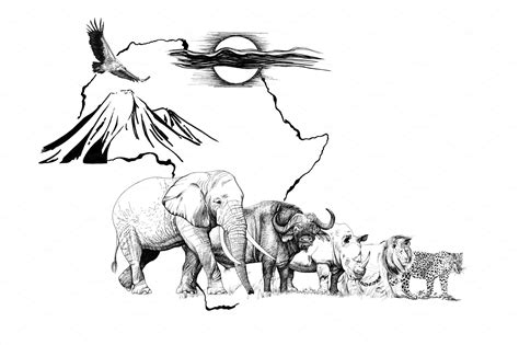 Big African Five Animal On Africa Ma Custom Designed Illustrations