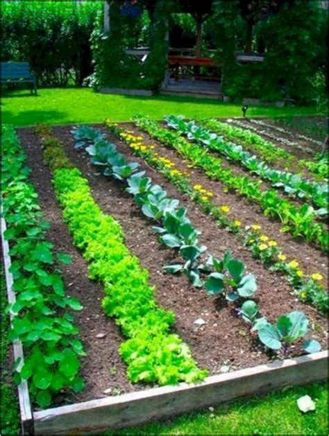 A vegetable garden not only has a stunning visual appeal, but also provides a place to get your .. 25+ Easy Vegetable Garden Layout Ideas For Beginner - DECOREDO