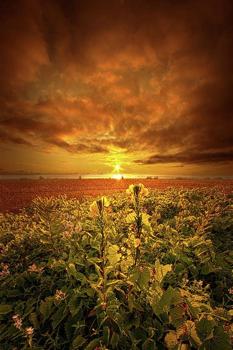 In Remembrance Photograph By Phil Koch Fine Art America