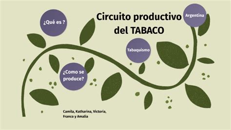 Circuito Productivo Del Tabaco By Amalia Mo On Prezi