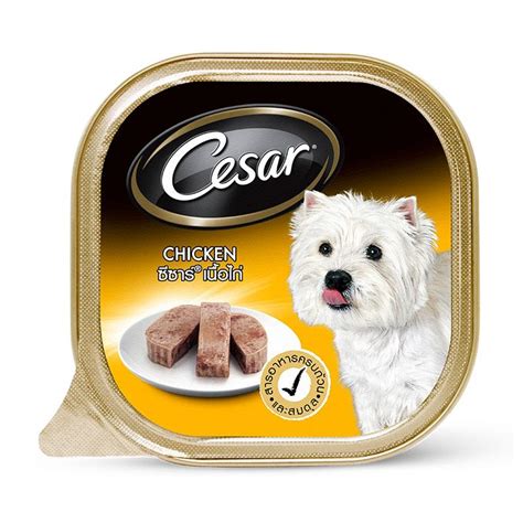 Maybe you would like to learn more about one of these? CESAR Pets Food Wet Dog Food CHICKEN Flavor Best Nutrition ...