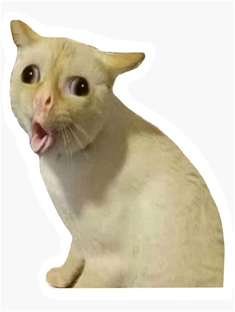 Coughing Cat Meme Sticker By Splendid Scribbles Cat Memes Meme