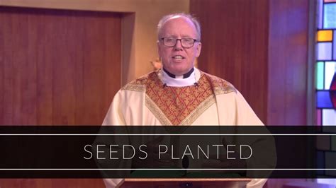 Seeds Planted Homily Father Timothy Kearney Youtube