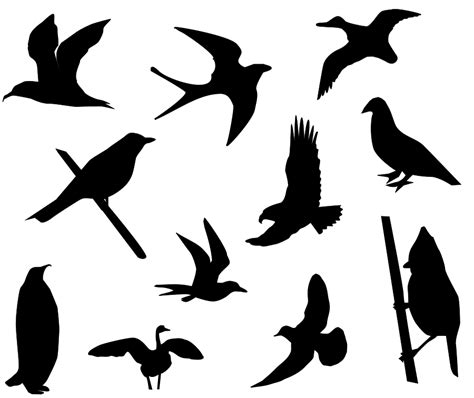 Free Free Bird Silhouette Download Free Free Bird Silhouette Png