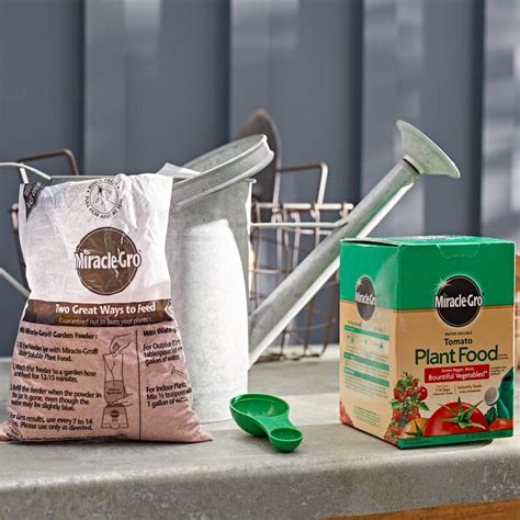 Miracle Gro Water Soluble Tomato Plant Food Miracle Gro