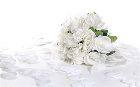 Pure White Roses Roses Photo 34611007 Fanpop