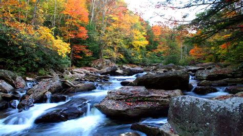 Autumn Mountain Stream Wallpapers Top Free Autumn