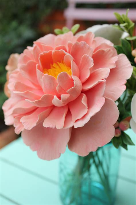 Cape coral florida florida east coast old florida beautiful places to visit great places places to see florida sunshine sunshine state vacation trips. Coral pink peony | Flores bonitas, Melhores flores ...