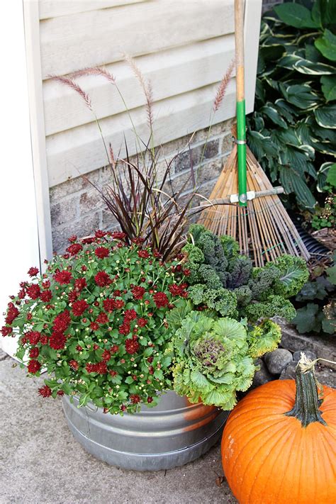 Fabulous Fall Planter Ideas Container Garden Photos Tips And Inspiration