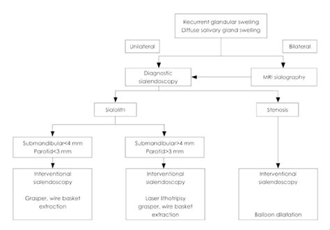 Decision Algorithm For The Evaluation And Management Of Sialolithiasis