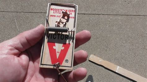 Mouse Trap The Original Victor Metal Pedal Mouse Trap Killer Review How