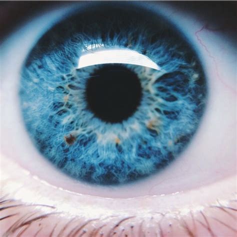Pin By Sabrina K On B E A U T Y Blue Eyes Aesthetic Cool Eyes Eye