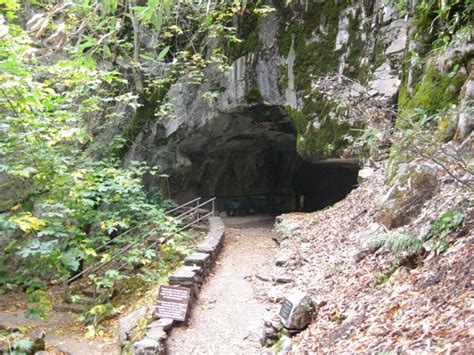 Spider Web Gate Crystal Cave Sequoia National Park Ca Gates Of